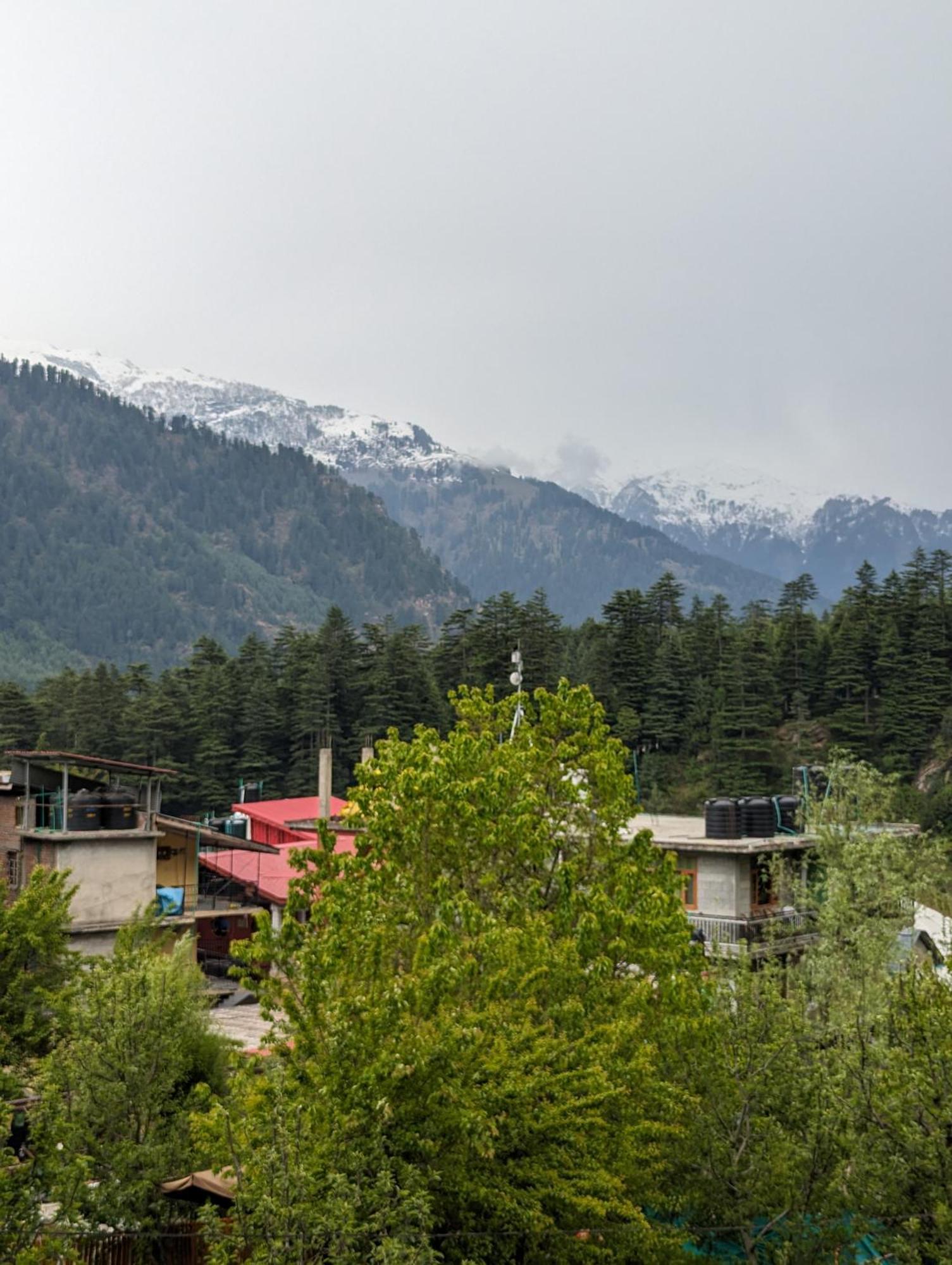Attic Monkey Cafe & Rooms Manali  Exterior photo