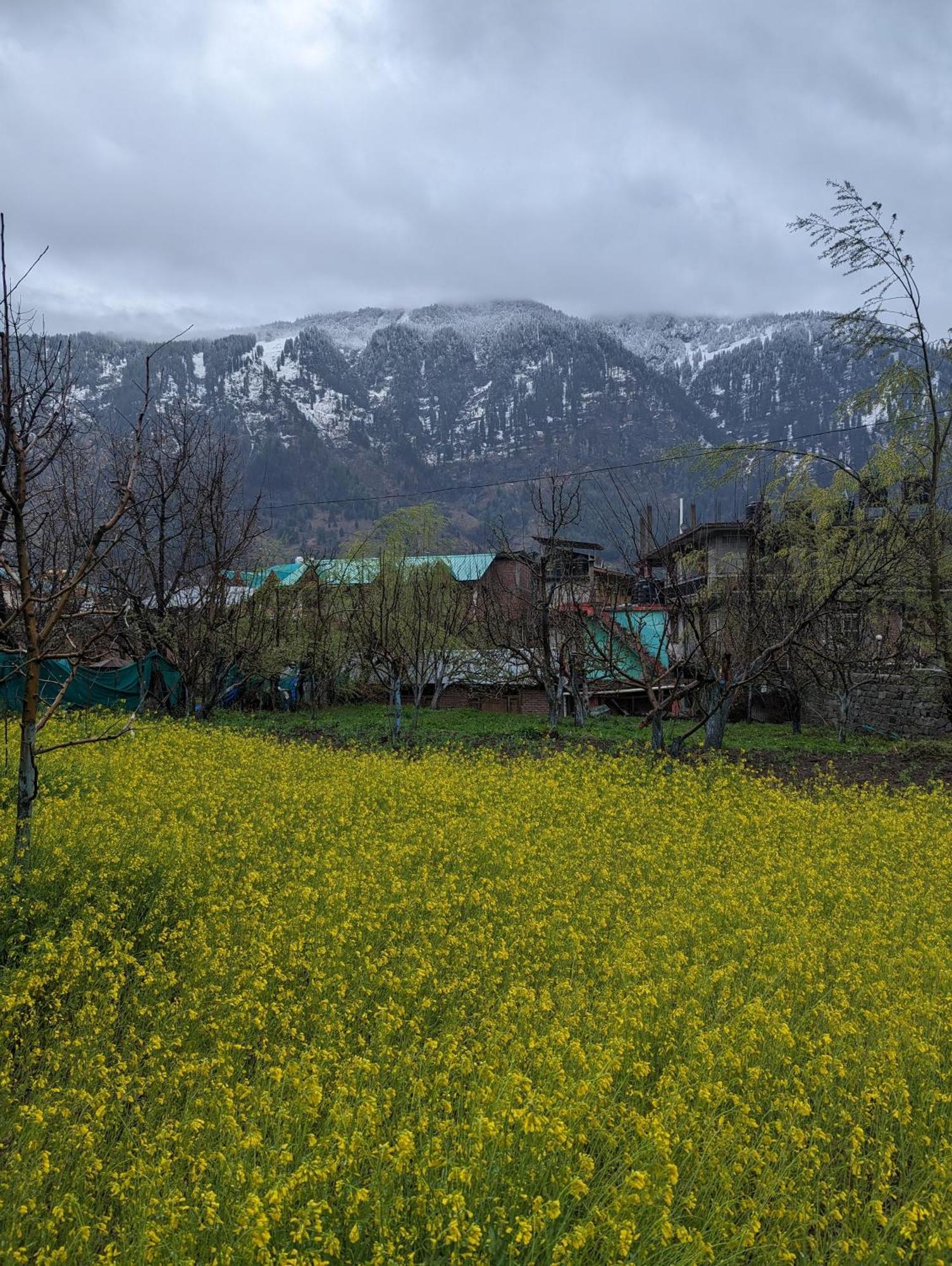 Attic Monkey Cafe & Rooms Manali  Exterior photo